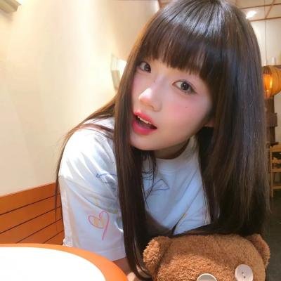 米歇尔先生的狗